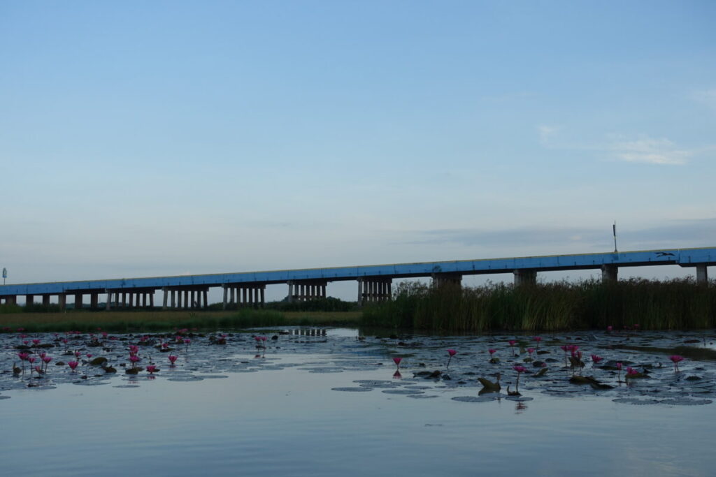 Thale Noi　橋