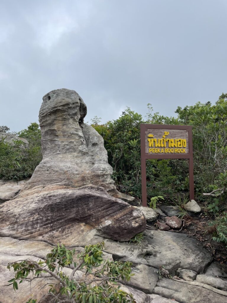 パーヒンガーム国立公園　ロックガーデン