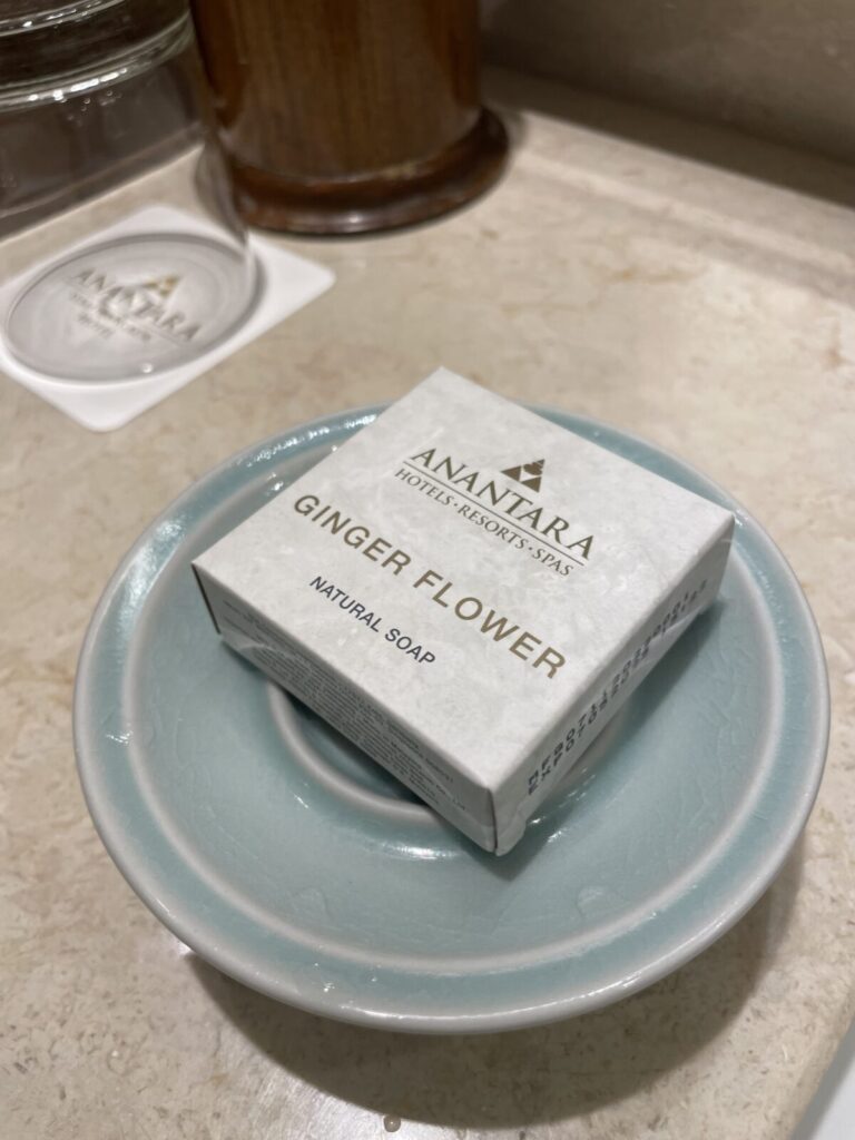 Anantara Siam Bangkok　Premier 　Room　バスルーム