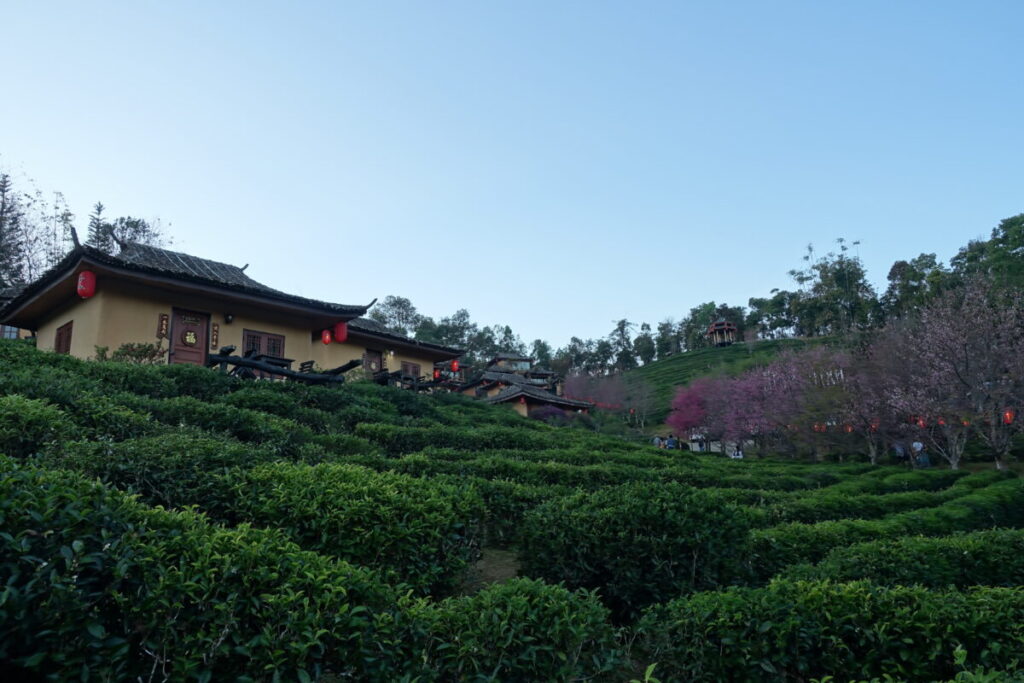Lee Wine Rukthai Resort Superior Room 外観