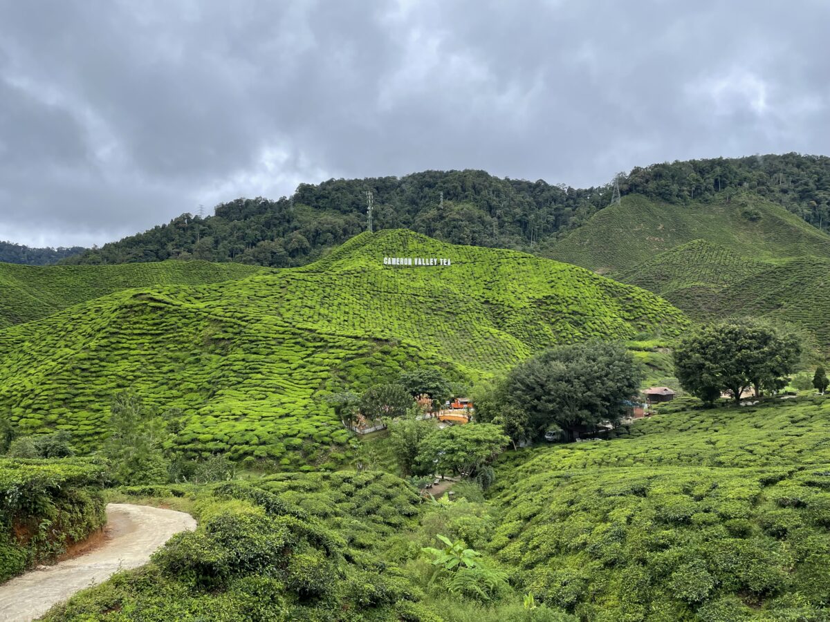 Cameron Valley Tea House