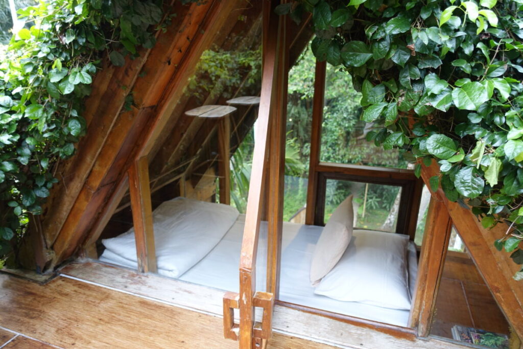 Tree House 01