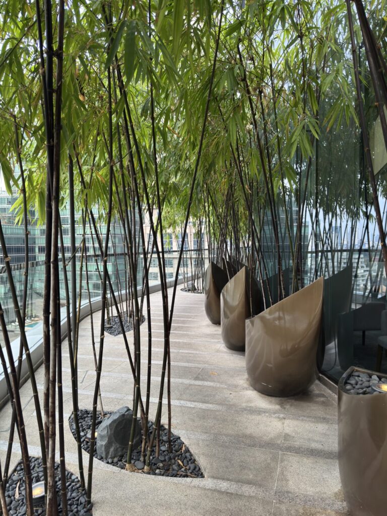 Park Hyatt Bangkok